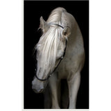 Featuring Pasha Art by Wendover Art at Amethyst Home. The Pasha art piece is a chic addition to your space. This view of horse art gives a brings a sense of peace and comfort to any room.Specialty: Gallery Wrapped Canvas, Artist EnhancedMedium: CanvasTreatment: Gallery WrappedSize: 51"w x 83"h Framed as shown. Amethyst Home provides interior design services, furniture, rugs, and lighting in the Kansas City metro area.