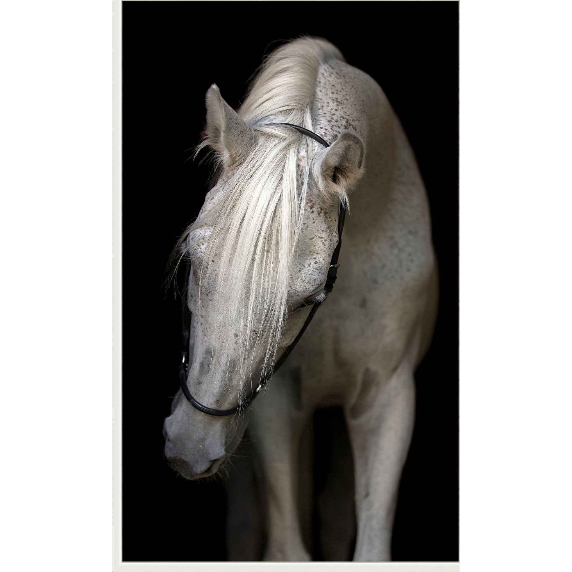 Featuring Pasha Art by Wendover Art at Amethyst Home. The Pasha art piece is a chic addition to your space. This view of horse art gives a brings a sense of peace and comfort to any room.Specialty: Gallery Wrapped Canvas, Artist EnhancedMedium: CanvasTreatment: Gallery WrappedSize: 51"w x 83"h Framed as shown. Amethyst Home provides interior design services, furniture, rugs, and lighting in the Kansas City metro area.