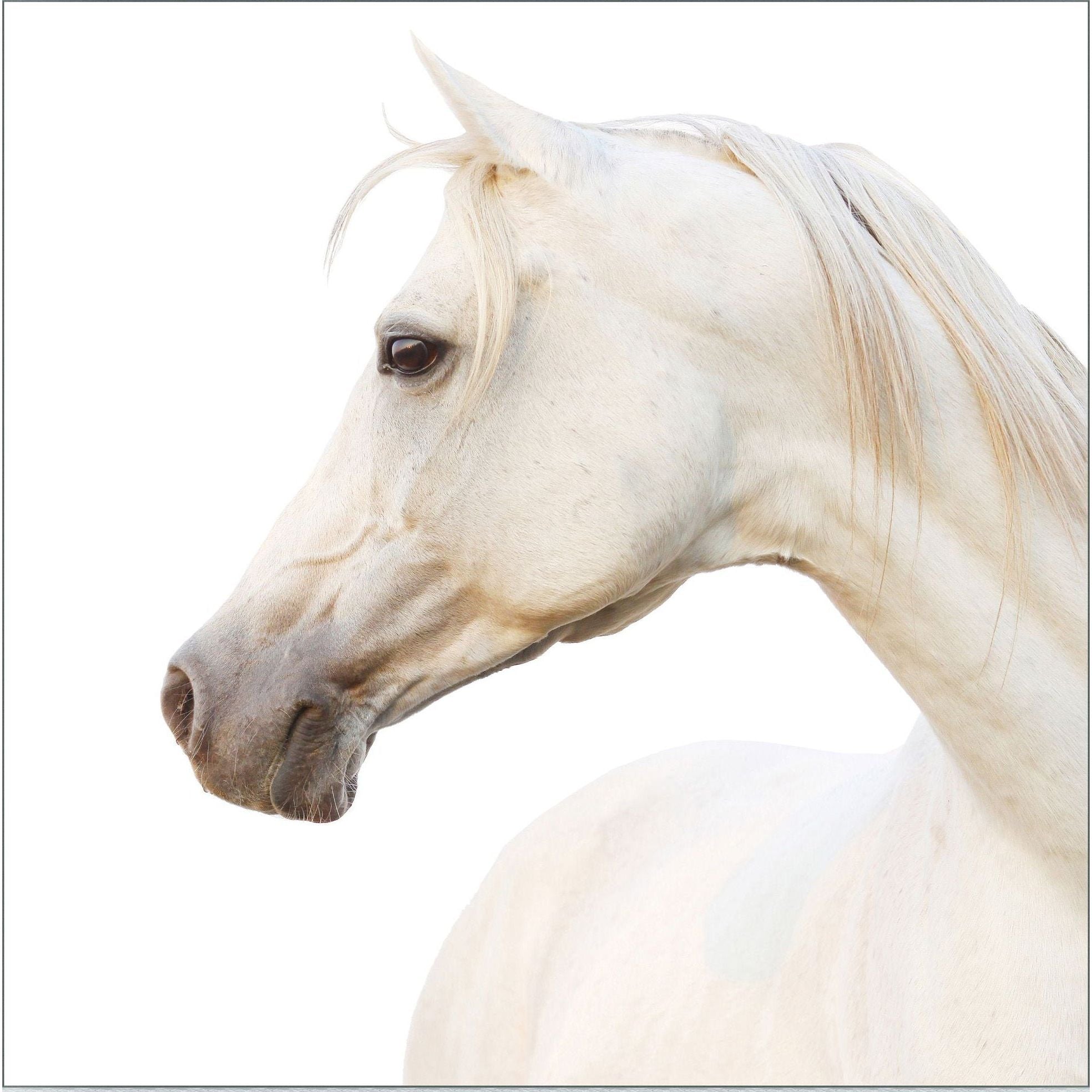 Featuring Pearl Art by Wendover Art at Amethyst Home. The Pearl (WLA1801) art piece is a chic addition to your space. This view of horse art gives a brings a sense of peace and comfort to any room. Specialty: Gallery WrappedMedium: CanvasTreatment: Gallery WrappedSize: 53.25"w x 53.25"h Framed as shown. Amethyst Home provides interior design services, furniture, rugs, and lighting in the Kansas City metro area.