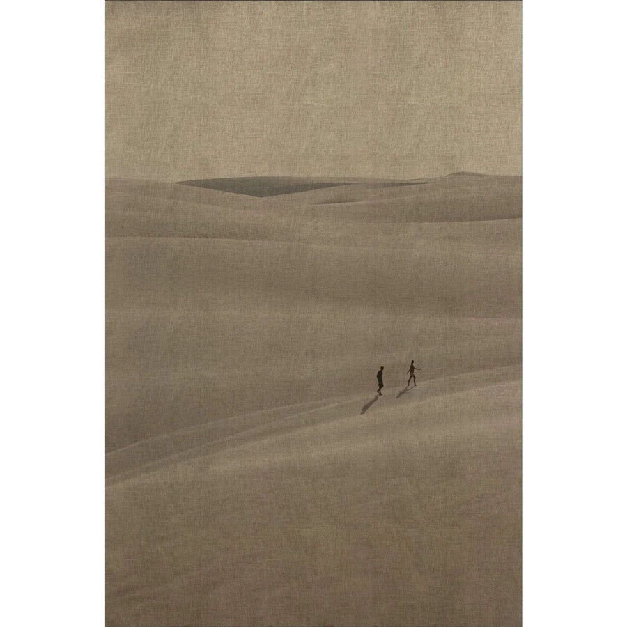 Sand Dunes 2 Art - 41 x 61
