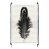 Feather Study #3