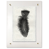 Feather Study #10