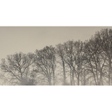 Morning Mist III Art