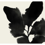 Botanical Poetry Art