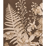 Golden Blossom III Art