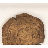 Embers of Growth III Art