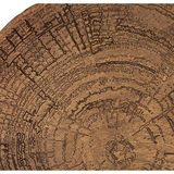 Embers of Growth I Art