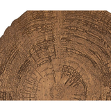 Embers of Growth II Art