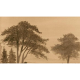 Sepia Mist Art