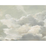 Capturing the Passing Cloud Art