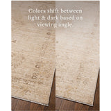Chris Loves Julia x Loloi Palma Natural / Smoke Rug