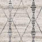 Introducing our Birch Collection Bohemian Global rug, lovingly hand-knotted in India from recycled PET yarn. This sustainable choice not only aids the environment but also provides a cozy medium pile underfoot for your comfort. Its boho-global style infuses any room with a vibrant, eclectic charm that's sure to be the talk of any gathering. Amethyst Home provides interior design, new home construction design consulting, vintage area rugs, and lighting in the Miami metro area.