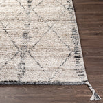 Introducing our Birch Collection Bohemian Global rug, lovingly hand-knotted in India from recycled PET yarn. This sustainable choice not only aids the environment but also provides a cozy medium pile underfoot for your comfort. Its boho-global style infuses any room with a vibrant, eclectic charm that's sure to be the talk of any gathering. Amethyst Home provides interior design, new home construction design consulting, vintage area rugs, and lighting in the Washington metro area.