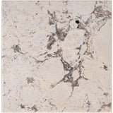 Featuring Taryn End Table by Surya at Amethyst Home. Introducing Taryn End Table, a luxurious addition to any space. Crafted with exquisite detail, this end table exudes elegance and sophistication. Its versatile design allows for a variety of uses, adding both functionality and beauty to your home. 
Overall Dimensions:21"H x 18"W x 18"D 159 lbs. Amethyst Home provides interior design, new home construction design consulting, vintage area rugs, and lighting in the Austin metro area.