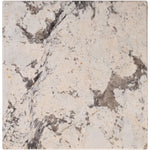 Featuring Taryn End Table by Surya at Amethyst Home. Introducing Taryn End Table, a luxurious addition to any space. Crafted with exquisite detail, this end table exudes elegance and sophistication. Its versatile design allows for a variety of uses, adding both functionality and beauty to your home. 
Overall Dimensions:21"H x 18"W x 18"D 159 lbs. Amethyst Home provides interior design, new home construction design consulting, vintage area rugs, and lighting in the Calabasas metro area.