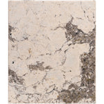 Featuring Taryn End Table by Surya at Amethyst Home. Introducing Taryn End Table, a luxurious addition to any space. Crafted with exquisite detail, this end table exudes elegance and sophistication. Its versatile design allows for a variety of uses, adding both functionality and beauty to your home. 
Overall Dimensions:21"H x 18"W x 18"D 159 lbs. Amethyst Home provides interior design, new home construction design consulting, vintage area rugs, and lighting in the Tampa metro area.