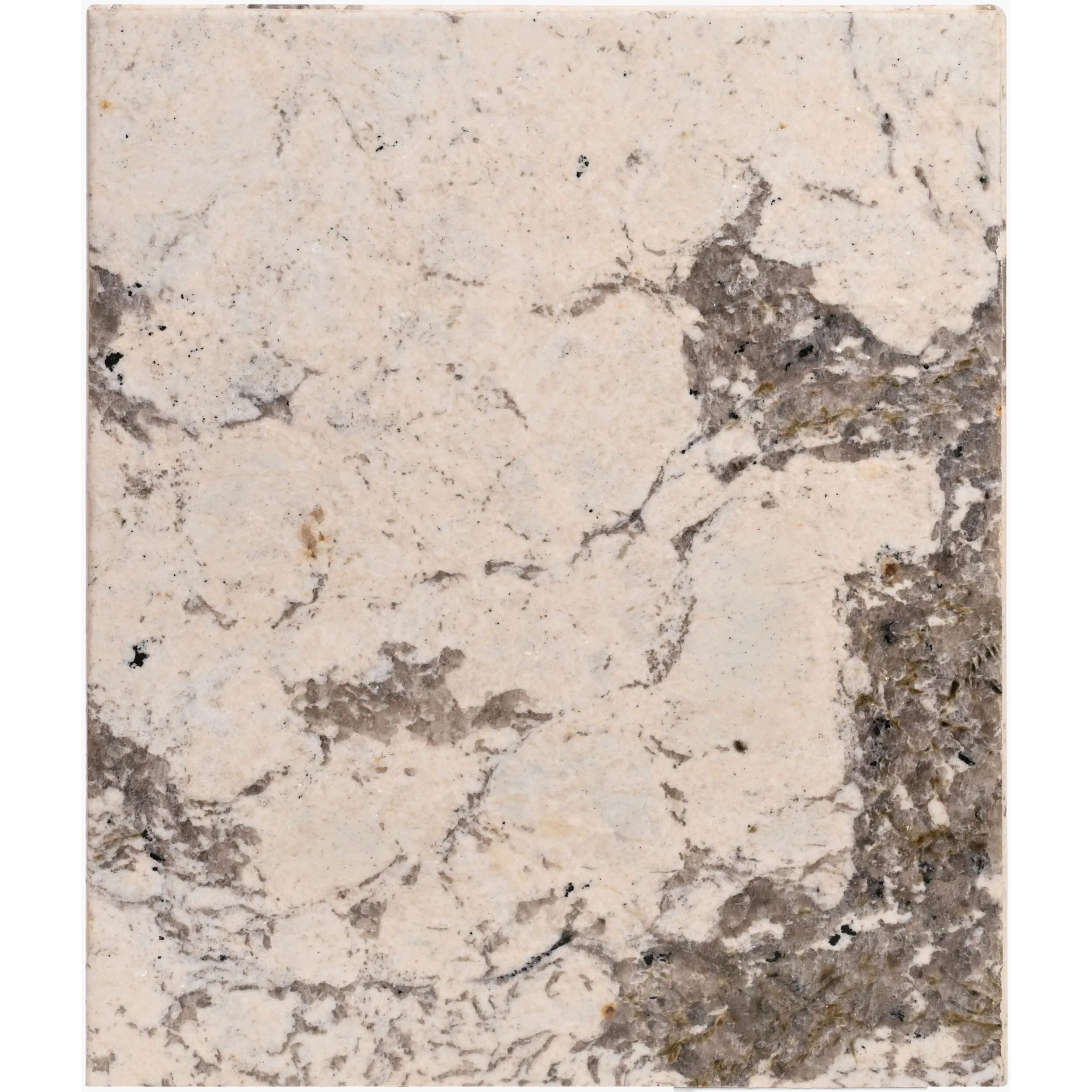 Featuring Taryn End Table by Surya at Amethyst Home. Introducing Taryn End Table, a luxurious addition to any space. Crafted with exquisite detail, this end table exudes elegance and sophistication. Its versatile design allows for a variety of uses, adding both functionality and beauty to your home. 
Overall Dimensions:21"H x 18"W x 18"D 159 lbs. Amethyst Home provides interior design, new home construction design consulting, vintage area rugs, and lighting in the Tampa metro area.