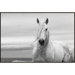  Amethyst Home provides interior design, new construction, custom furniture, and area rugs in the Laguna Beach metro area