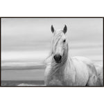  Amethyst Home provides interior design, new construction, custom furniture, and area rugs in the Laguna Beach metro area