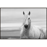  Amethyst Home provides interior design, new construction, custom furniture, and area rugs in the Laguna Beach metro area