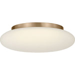 Satin Brass | shipping 01/23/2027