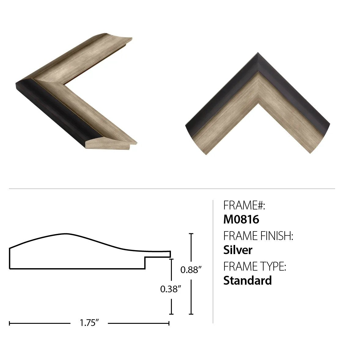 Featuring Modern Aviary 3 Art by Wendover Art at Amethyst Home. Introduce elegance into your space with the Modern Aviary 3 Art. This exquisite piece features stunning artwork that adds a touch of sophistication to any room. Transform your living space into a luxurious sanctuary with this one-of-a-kind artwork. Elevate your home decor and indulge in the . Amethyst Home provides interior design, new home construction design consulting, vintage area rugs, and lighting in the Laguna Beach metro area.