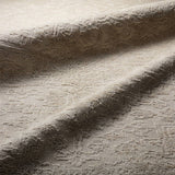 Pranhita Aposio Ivory / White Rug