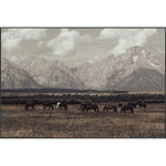 Featuring Wild West Legends I Art by Leftbank Art at Amethyst Home. Enjoy the Wild West as you take in the stunning artwork of Wild West Legends I. Let this vibrant art ignite your imagination and transport you to a frontier world of limitless possibilities.
Artist:Tatiana AlexandraProduct Type: CanvasFinish: Image Brush Gel Framed as shown. Amethyst Home provides interior design, new home construction design consulting, vintage area rugs, and lighting in the Omaha metro area.