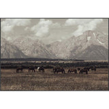 Featuring Wild West Legends I Art by Leftbank Art at Amethyst Home. Enjoy the Wild West as you take in the stunning artwork of Wild West Legends I. Let this vibrant art ignite your imagination and transport you to a frontier world of limitless possibilities.
Artist:Tatiana AlexandraProduct Type: CanvasFinish: Image Brush Gel Framed as shown. Amethyst Home provides interior design, new home construction design consulting, vintage area rugs, and lighting in the Omaha metro area.