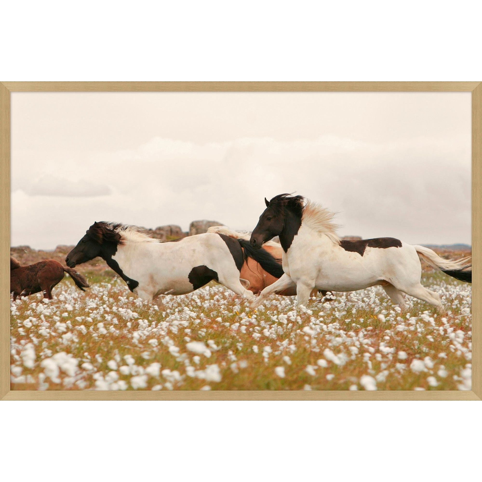 Featuring Wildflower Stallions Art by Wendover Art at Amethyst Home. Wildflower Stallions is stunning photograph with multitudes of movement. This warm bright classic piece is a modern take on a classic statement.
Specialty: Giclee on Matte Paper, Straight Fit (No Mats)
Artist: Nathan Turner Medium: Matte PaperTreatment: Straight Fit (No Mats)Size: 47.5"w x 31.  Amethyst Home provides interior design, new home construction design consulting, vintage area rugs, and lighting in the Omaha metro area.