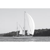 Featuring Yachting Moments Art by Leftbank Art at Amethyst Home. Experience the beauty and elegance of yachting with our Yachting Moments Art. These stunning pieces capture the essence of the yachting lifestyle and will bring a touch of sophistication to any space. Perfect for yacht enthusiasts or anyone looking to add a nautical touch to their decor.
Finish : Fiber Texture Canv. Amethyst Home provides interior design, new construction, custom furniture, and area rugs in the Los Angeles metro area