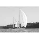 Featuring Yachting Moments Art by Leftbank Art at Amethyst Home. Experience the beauty and elegance of yachting with our Yachting Moments Art. These stunning pieces capture the essence of the yachting lifestyle and will bring a touch of sophistication to any space. Perfect for yacht enthusiasts or anyone looking to add a nautical touch to their decor.
Finish : Fiber Texture Canvas. Amethyst Home provides interior design, new construction, custom furniture, and area rugs in the Park City metro area