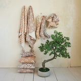 Oversized Bonsai Tree