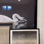 Gliding quietly along the river, this framed view of the swan is captured beautifully in this Gliding Swan Art.  Size: 56"w x 43"h Medium: Matte