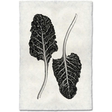 Swiss Chard - Amethyst Home