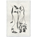 Three Carrots - Amethyst Home