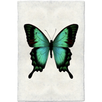 Butterfly #1 - Amethyst Home