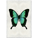 Butterfly #1 - Amethyst Home