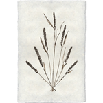 Grain Form - Amethyst Home