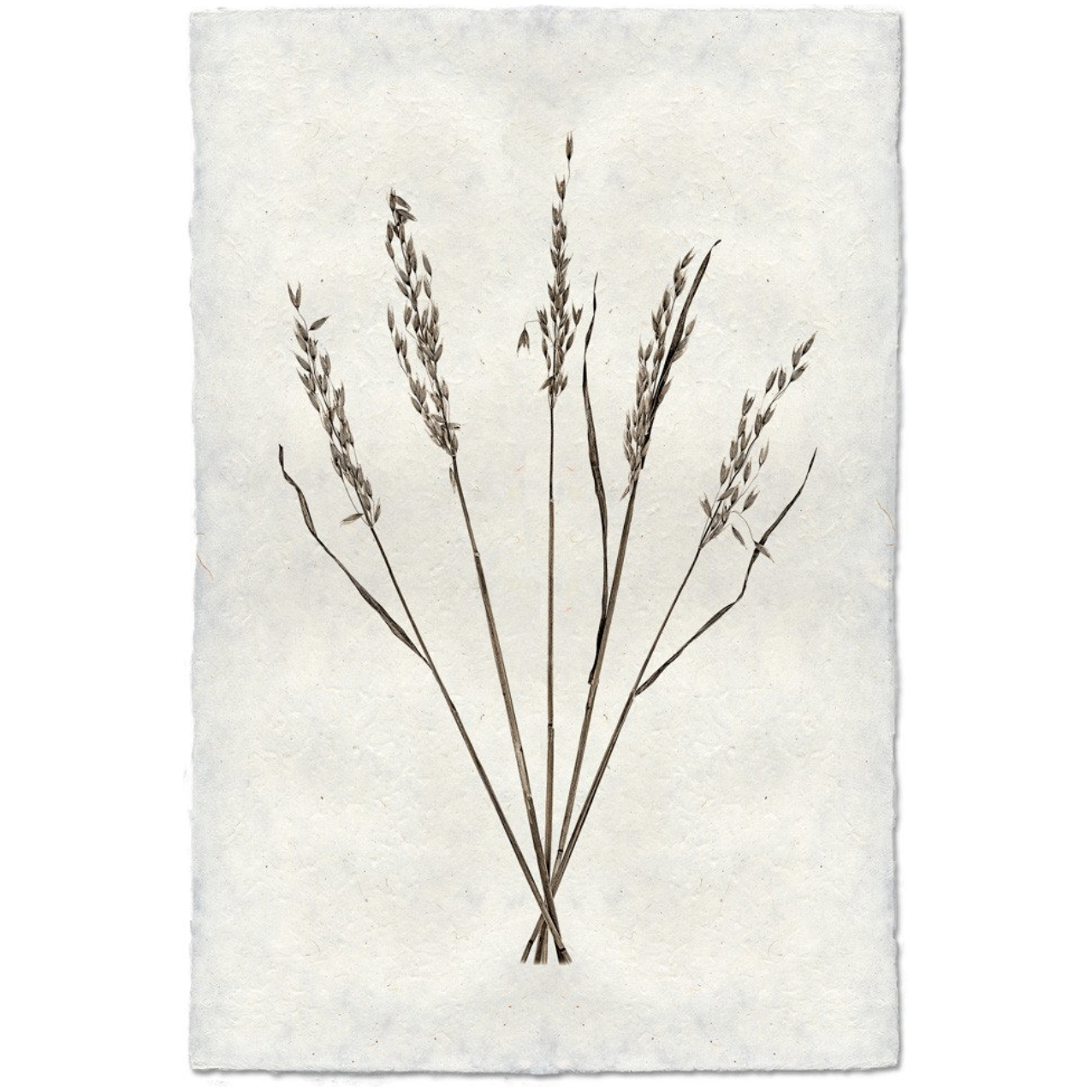 This Oat Form is made from raw edge handmade paper from Nepal. Hang in your kitchen, living room, or bedroom to bring the space some organic, raw character!  Fine art prints  Pencil signature