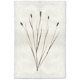 Canary Grass Form - Amethyst Home