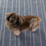 Part of our Bunny Williams collection, this delicately striped, navy indoor/outdoor rug was inspired by an antique rug sample from the designer's own personal collection. Due to the handmade nature of this area rug, variations in color are expected. Dhurrie rugs are woven to be lightweight, low profile and reversible. Amethyst Home provides interior design, new construction, custom furniture, and area rugs in the Omaha metro area.