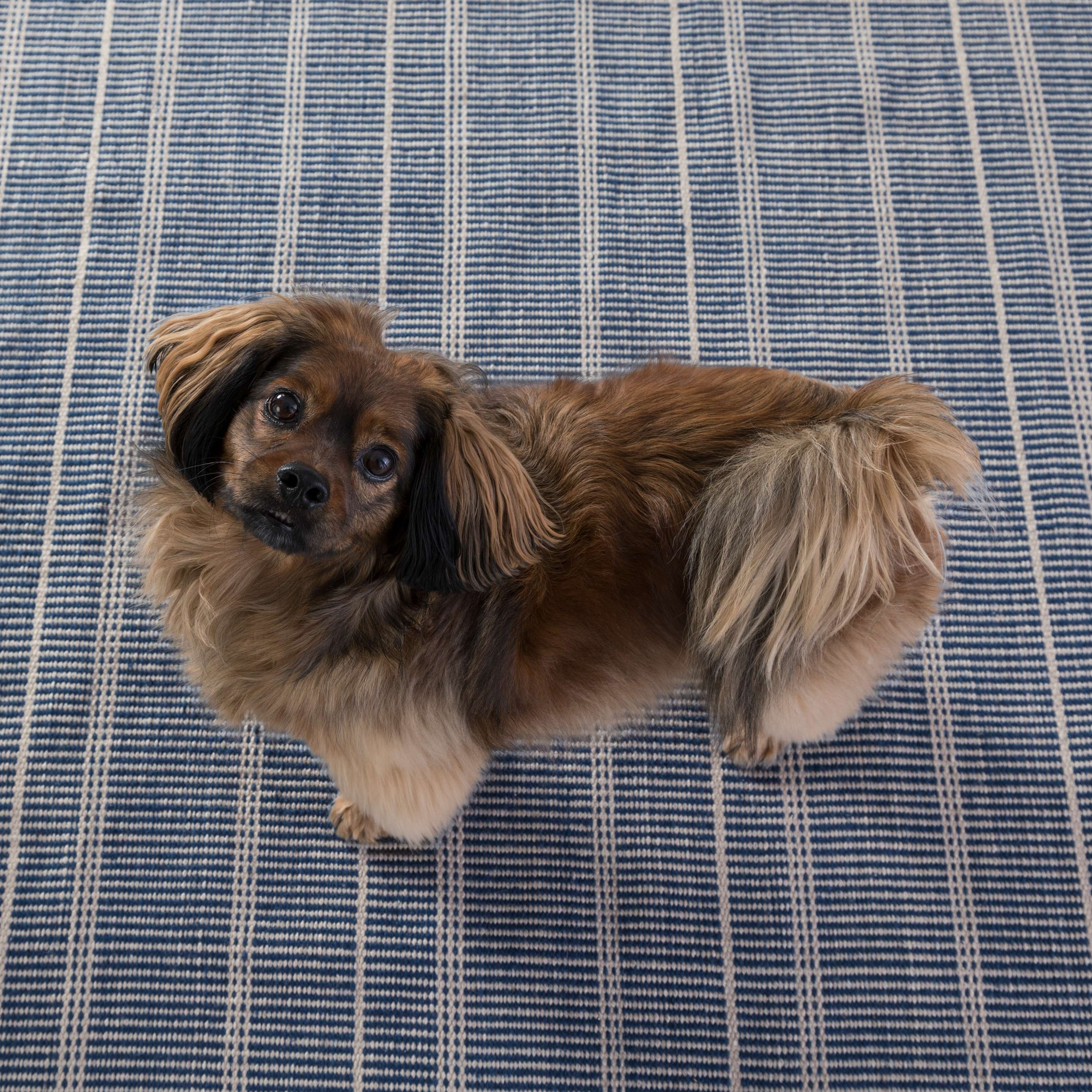 Part of our Bunny Williams collection, this delicately striped, navy indoor/outdoor rug was inspired by an antique rug sample from the designer's own personal collection. Due to the handmade nature of this area rug, variations in color are expected. Dhurrie rugs are woven to be lightweight, low profile and reversible. Amethyst Home provides interior design, new construction, custom furniture, and area rugs in the Omaha metro area.