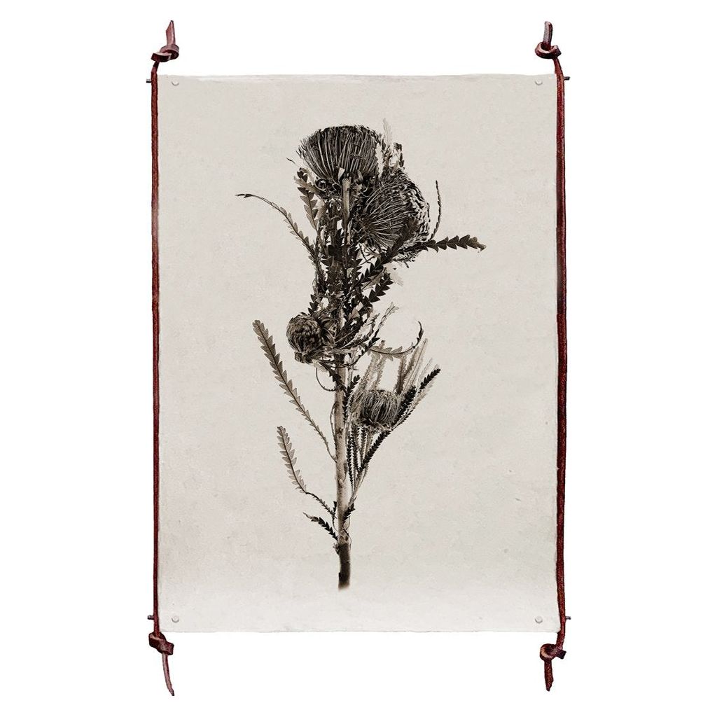 This Banksia is made from raw edge handmade paper from Nepal. Hang in your kitchen, living room, or bedroom to bring the space some organic, raw character!  Fine art prints  Pencil signature