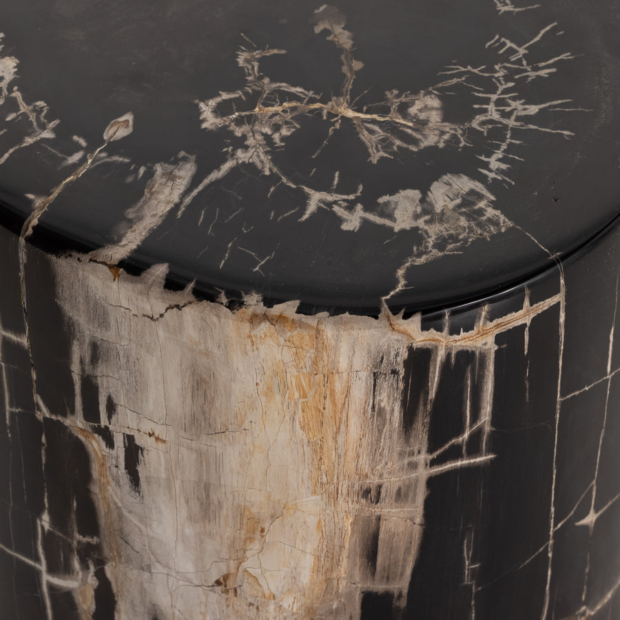 The Kos Dark Petrified Wood End Table is perfect to place in your living and make it come to life with it's design. Amethyst Home provides interior design services, furniture, rugs, and lighting in the Des Moines metro area. 