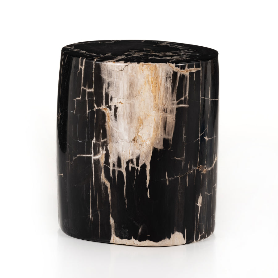 The Kos Dark Petrified Wood End Table is perfect to place in your living and make in come to live with it's design. Amethyst Home provides interior design services, furniture, rugs, and lighting in the Salt Lake City metro area. 