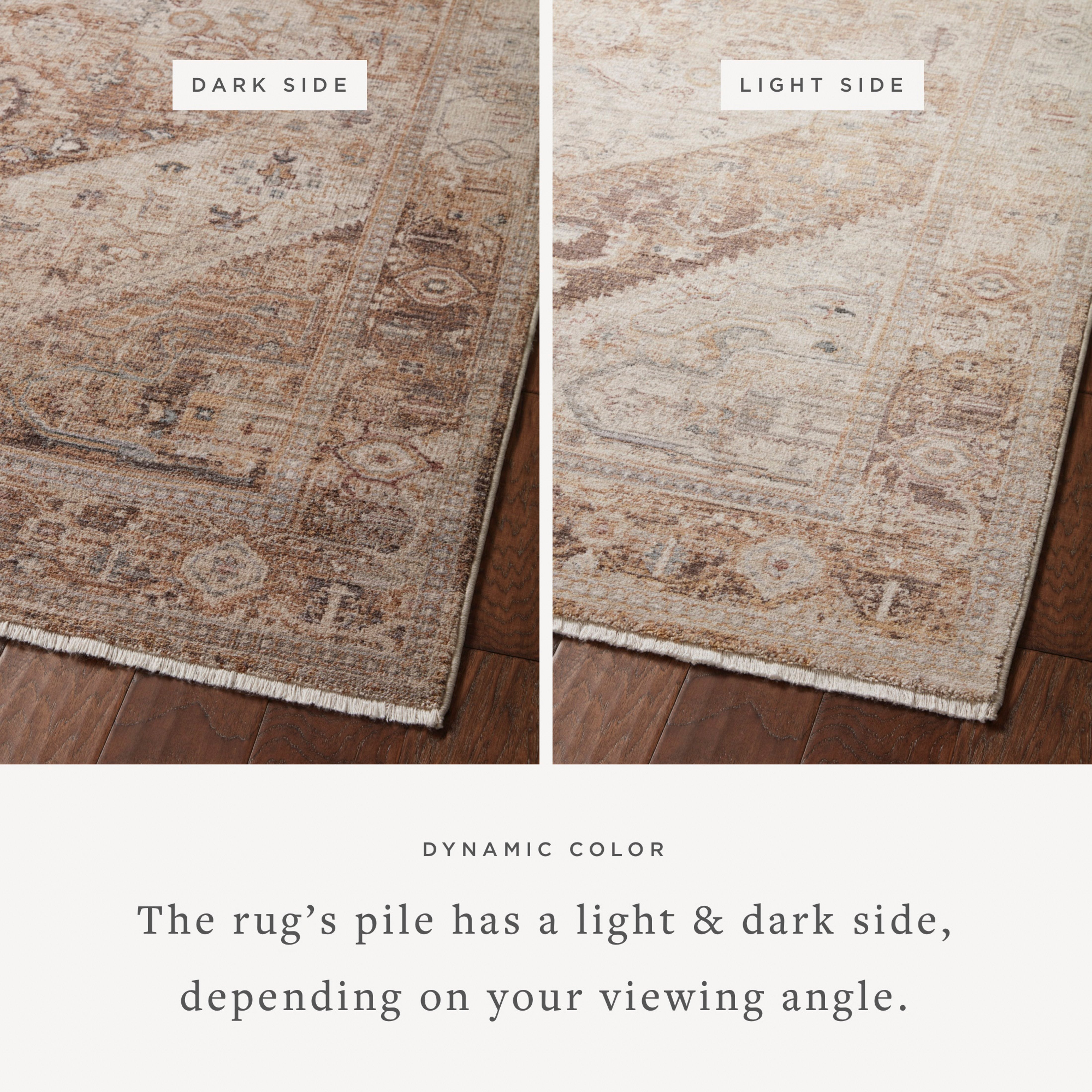Loloi Lyra Natural / Mocha LYR-07 Rug | Amethyst Home
