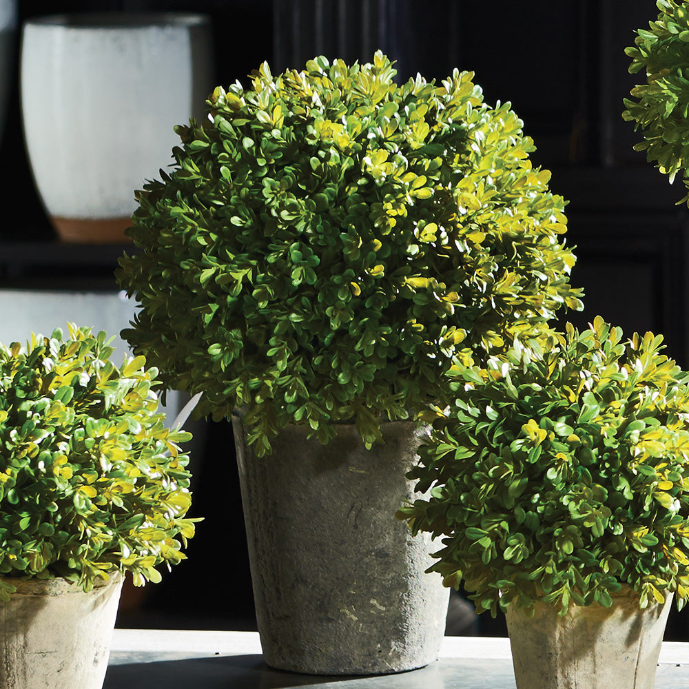 Noted designer Barclay Butera has created these delicate and dainty faux boxwoods. The beautiful profile of each topiary is exactly what boxwood lovers are looking for. Amethyst Home provides interior design, new construction, custom furniture, and area rugs in the Newport Beach metro area.