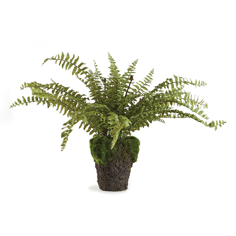 100% realistic- an absolutely perfect copy of the Boston Fern. So authentic you have to remind yourself not to water it. Amethyst Home provides interior design, new construction, custom furniture, and area rugs in the Los Angeles metro area.