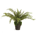 100% realistic- an absolutely perfect copy of the Boston Fern. So authentic you have to remind yourself not to water it. Amethyst Home provides interior design, new construction, custom furniture, and area rugs in the Los Angeles metro area.